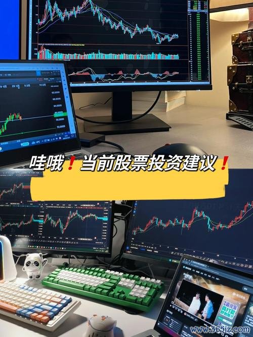 如何通过token应用的功能提升投资者的信心,实现更好的交易决策与执行。_使用者决策者_决策者使用者影响者